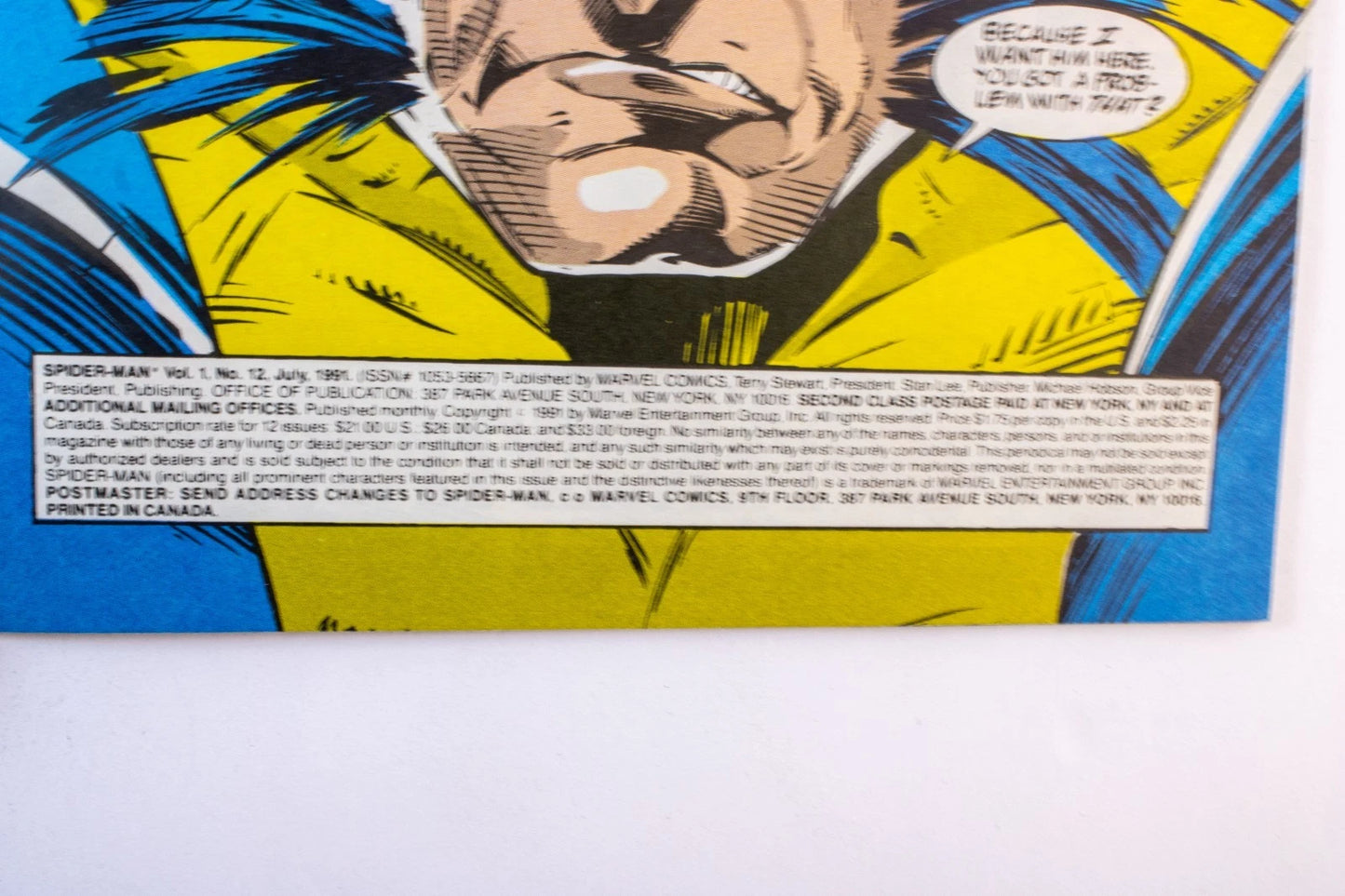 β¨ VINTAGE MARVEL COMIC GEM! β¨ Spider-Man #12 (Vol. 1, July 1991) Todd McFarlane