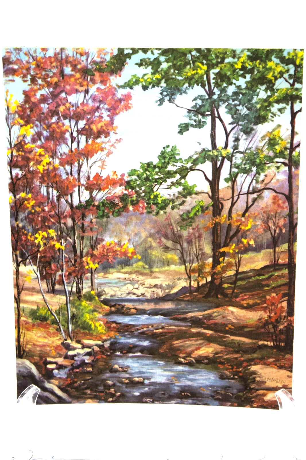 Set of 4 Vintage Matte Art Prints by C.L. Dreisbach – Seasons Creek Forest Land
