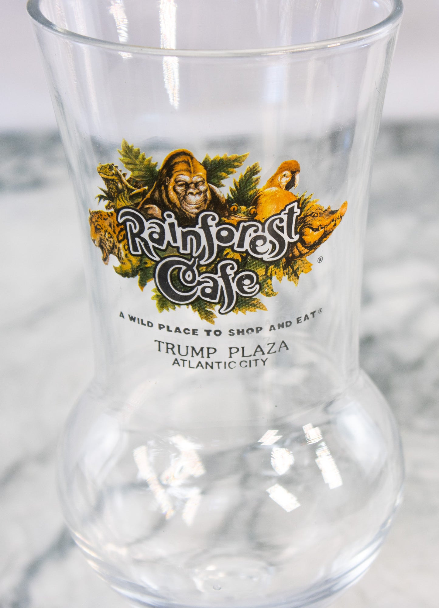 Rainforest Cafe Trump Plaza Glass Atlantic City Souvenir Barware