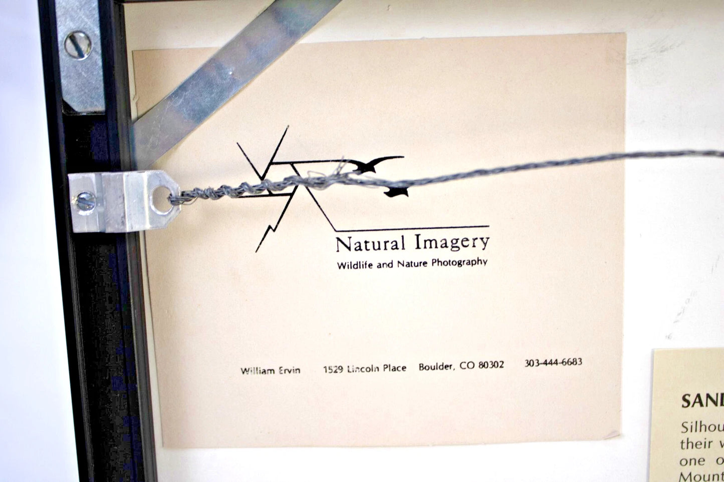 Sandhill Silhouettes by William Ervin – Framed Wildlife Photograph – Colorado