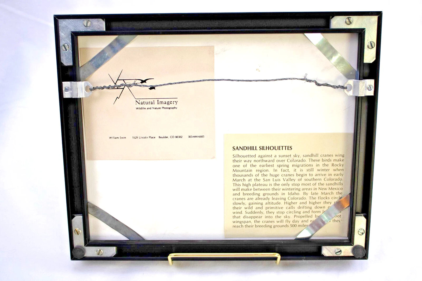 Sandhill Silhouettes by William Ervin – Framed Wildlife Photograph – Colorado