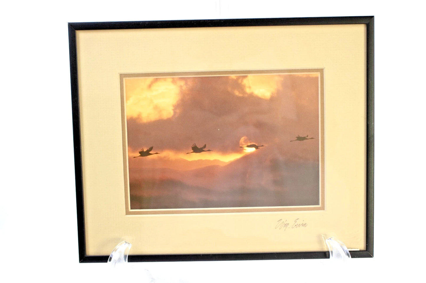 Sandhill Silhouettes by William Ervin – Framed Wildlife Photograph – Colorado