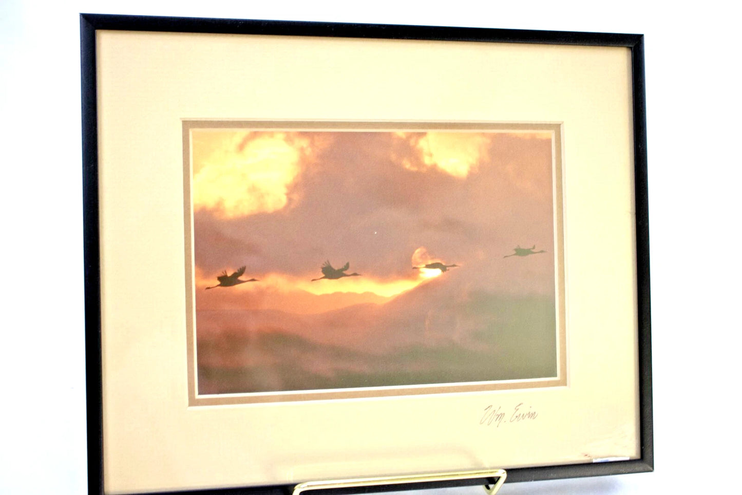 Sandhill Silhouettes by William Ervin – Framed Wildlife Photograph – Colorado