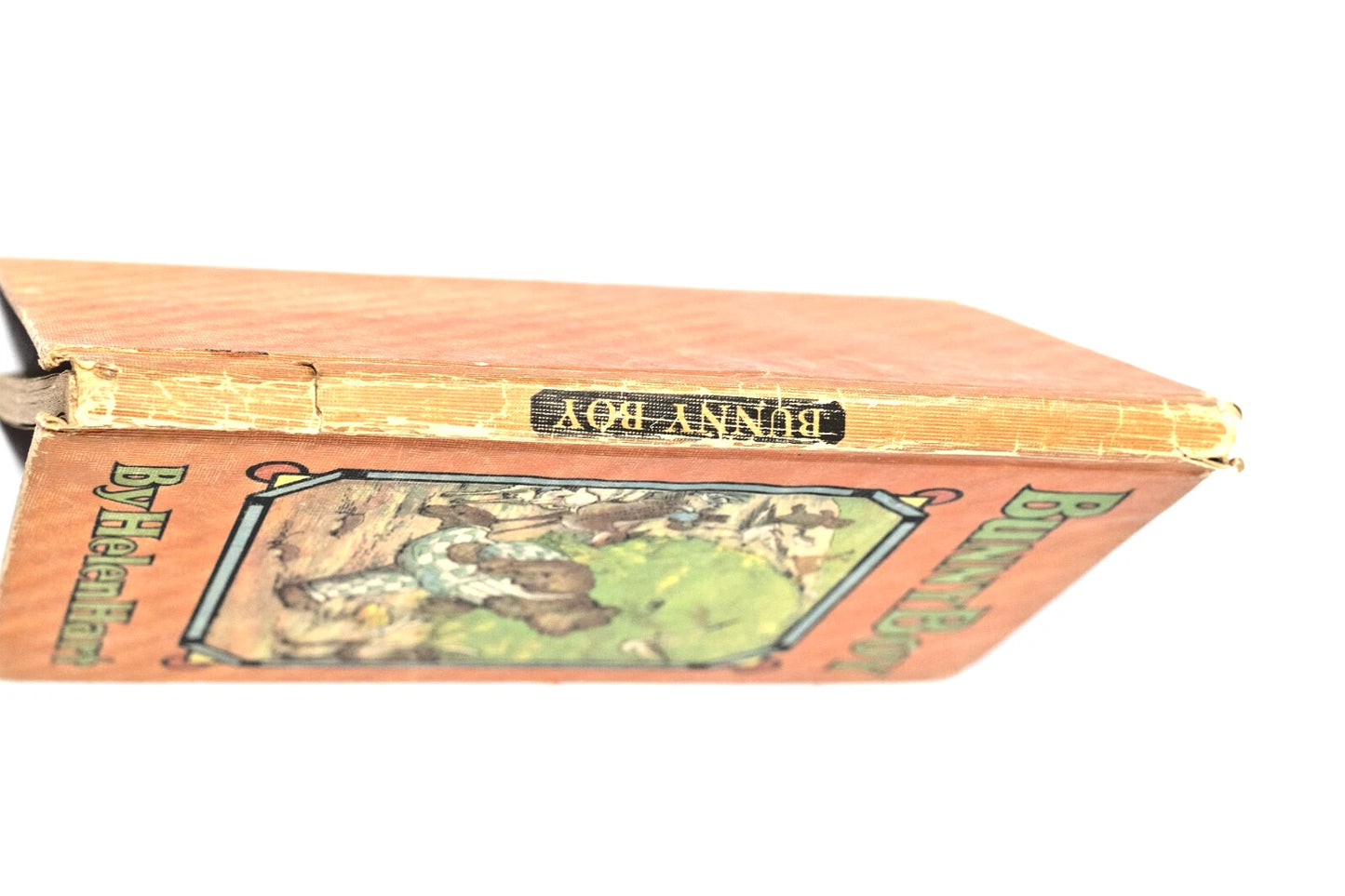 Bunny Boy by Helen Hart | 1920 Whitman Publishing | Vintage Children’s Book |