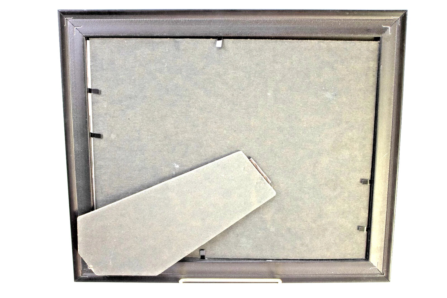 Vintage Framed Cactus Photo – Pink Prickly Pear Bloom – Southwest Desert Scene