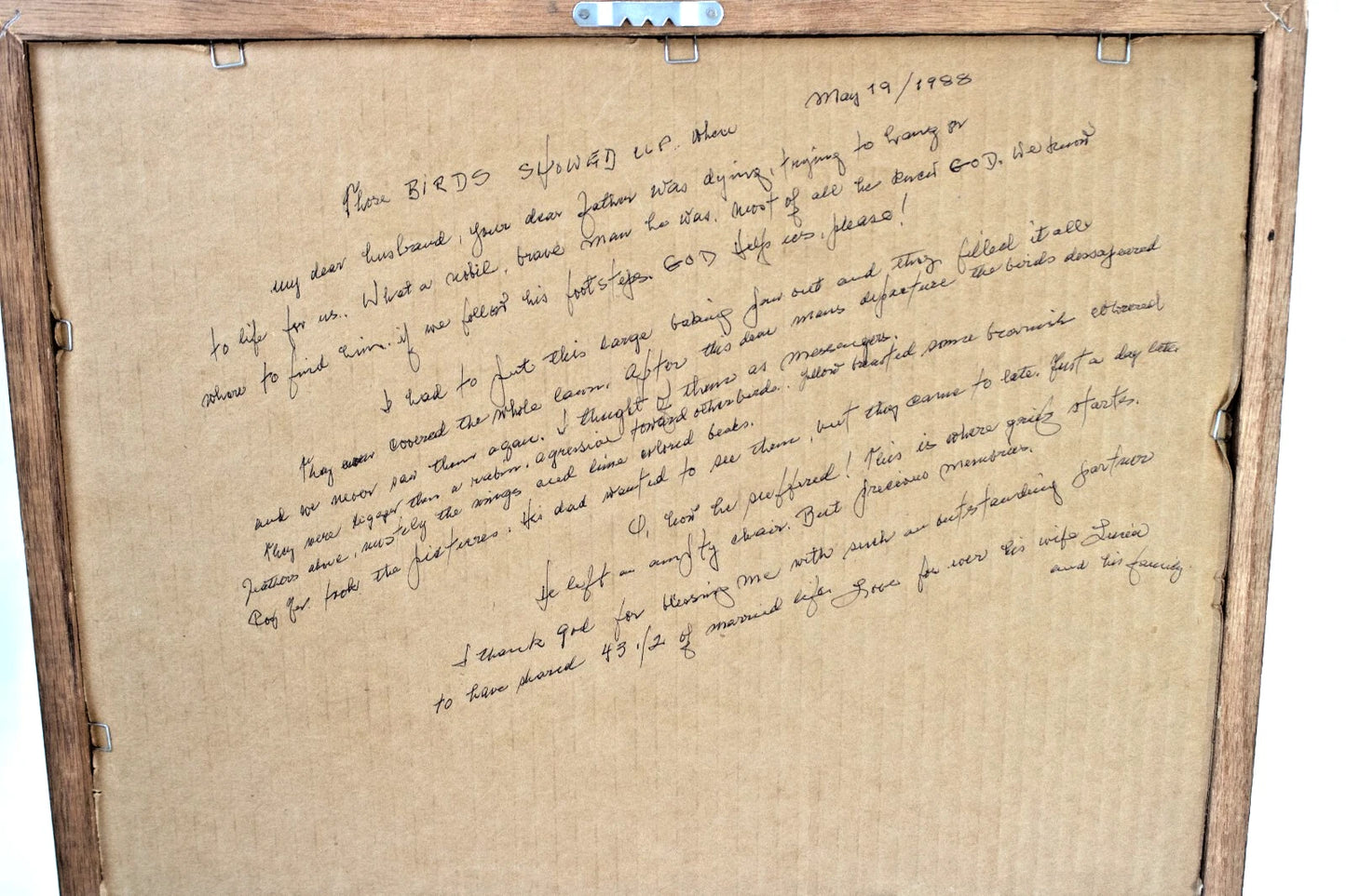 Pair of Framed Birdbath Garden Photos – Songbirds in Evergreen Setting – 1988 Ha