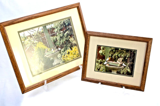 Pair of Framed Birdbath Garden Photos – Songbirds in Evergreen Setting – 1988 Ha