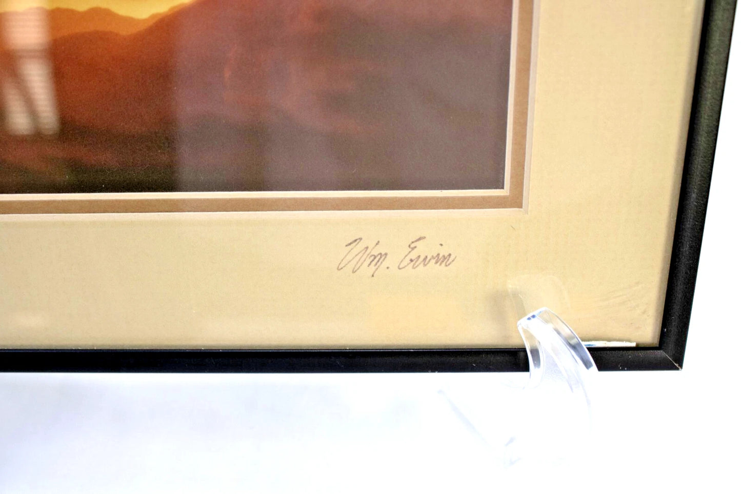 Sandhill Silhouettes by William Ervin – Framed Wildlife Photograph – Colorado