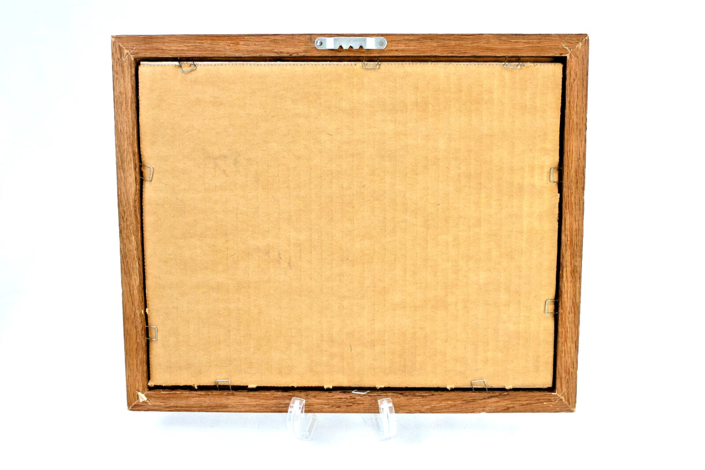 Pair of Framed Birdbath Garden Photos – Songbirds in Evergreen Setting – 1988 Ha