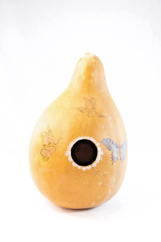 Vintage Painted Gourd Art – Butterfly & Hummingbird Design Decorative Birdhouse