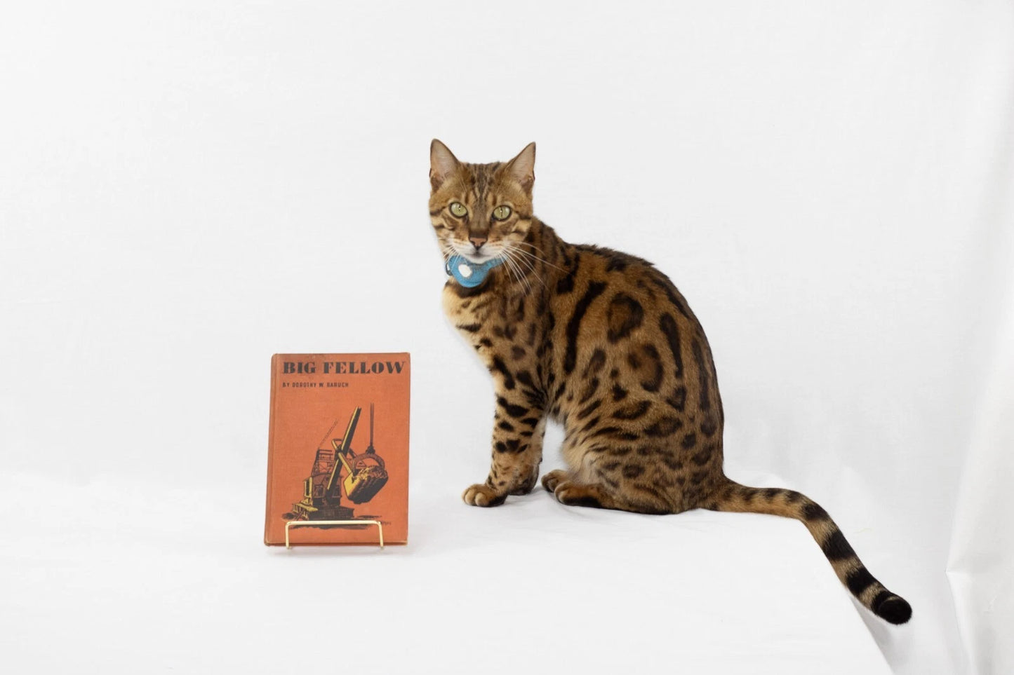 Big Fellow by Dorothy W. Baruch - Special Edition