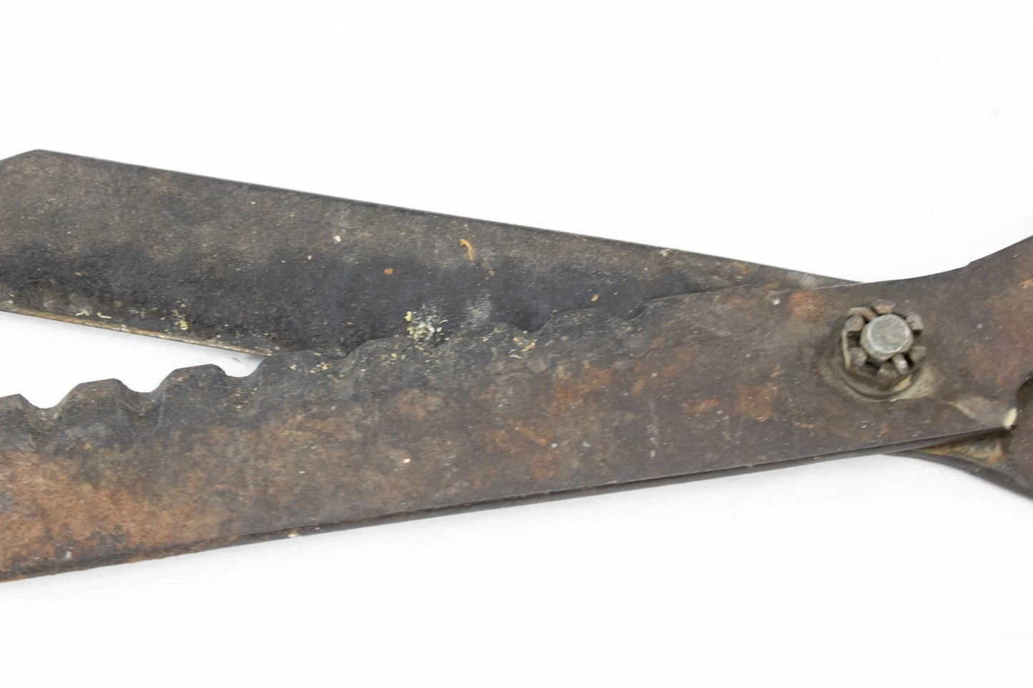 Antique Garden Shears Hedge Clippers – Wood Handle – Rustic Primitive Tool