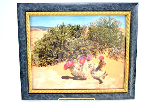 Vintage Framed Cactus Photo – Pink Prickly Pear Bloom – Southwest Desert Scene